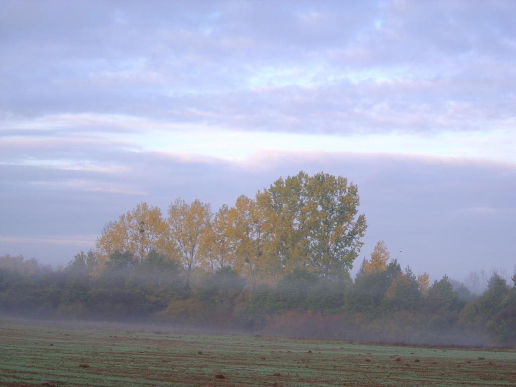 Les Trois Chenes Bed & Breakfast Videix Room photo